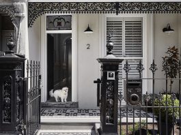 black and white terrace facade