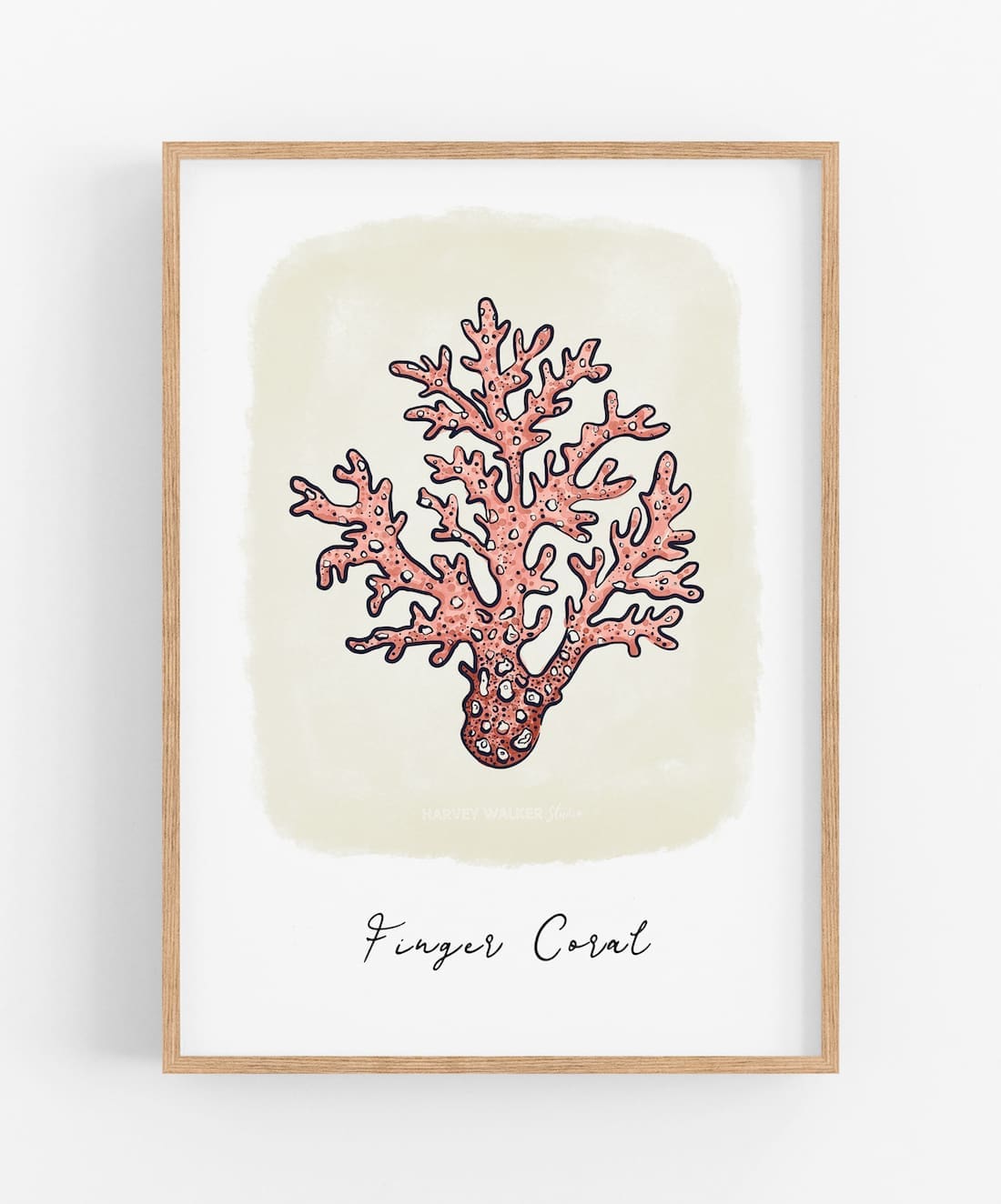 Finger coral artwork