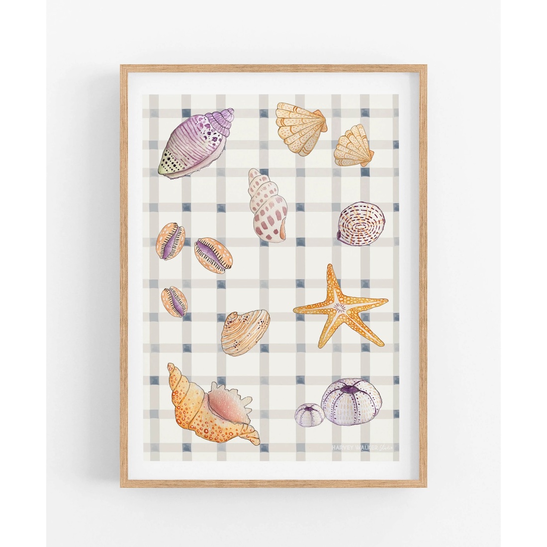 Seashell collection artwork on gingham background