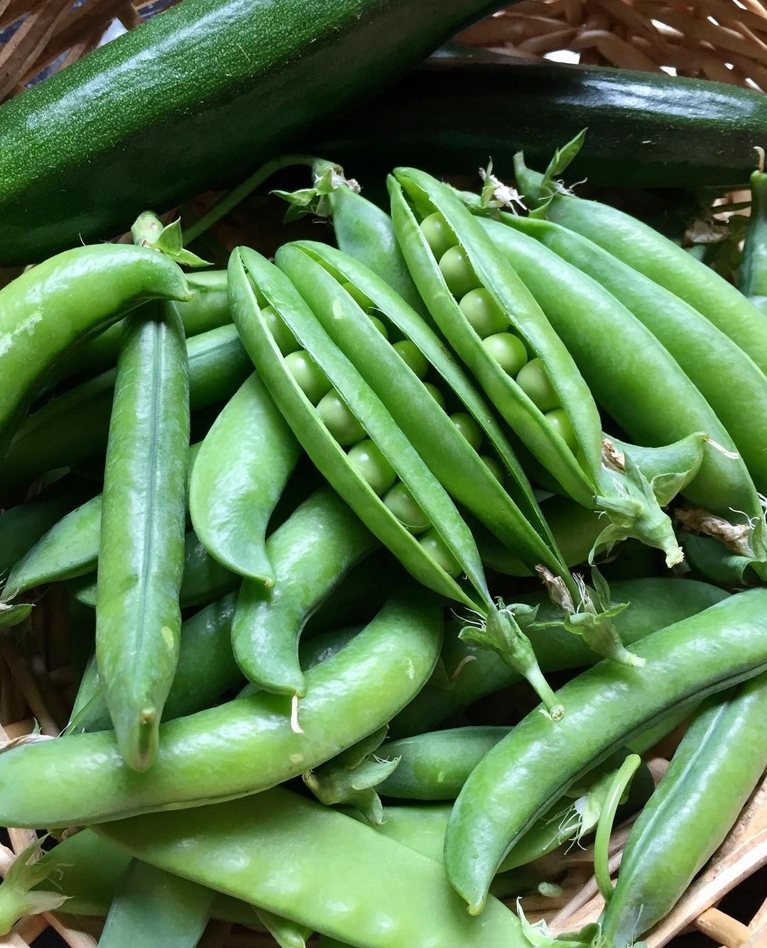 Freshly picked garden peas