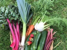 Freshly grown spring vegetables and fruit