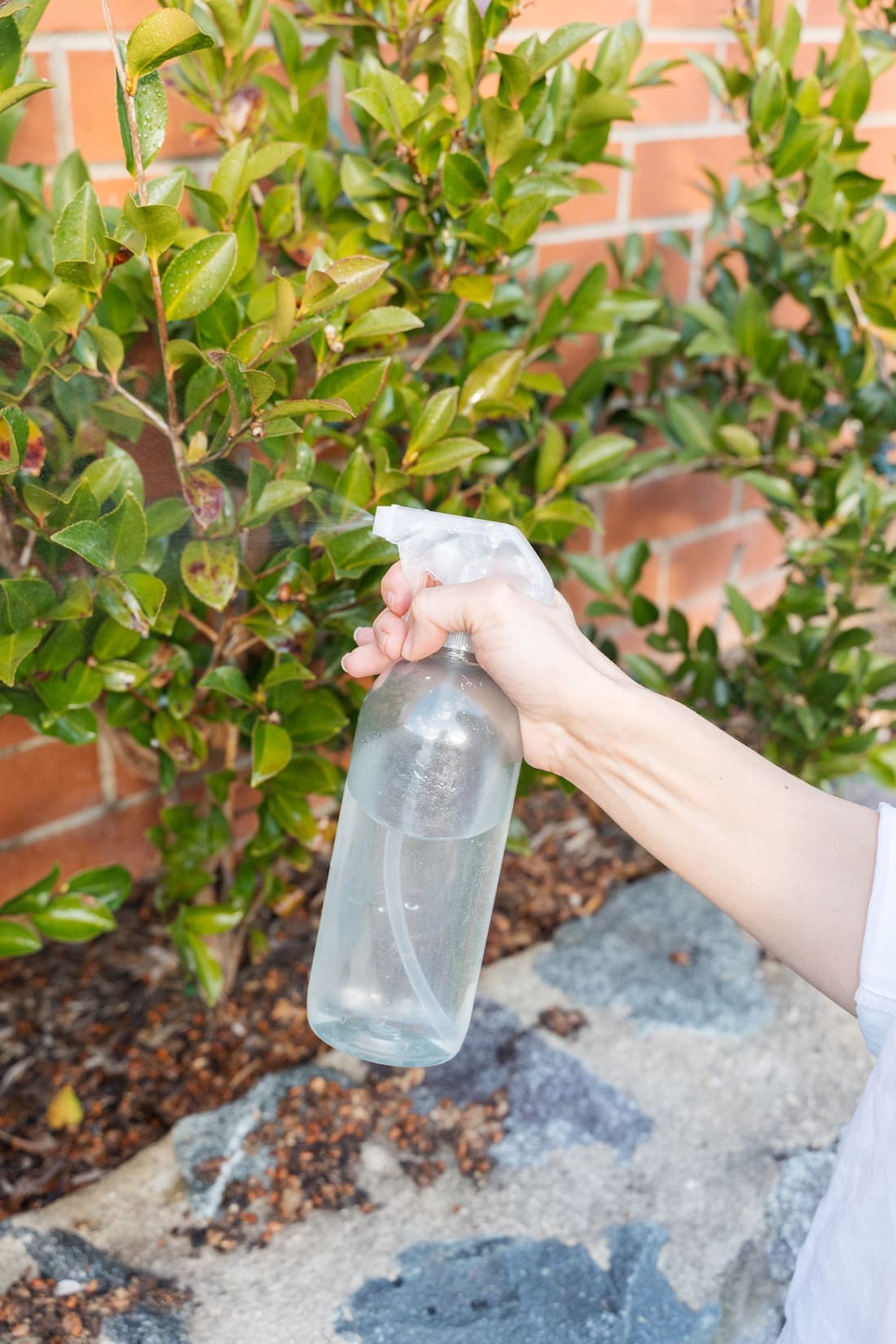 spray leaves _ outdoor cleaning hacks