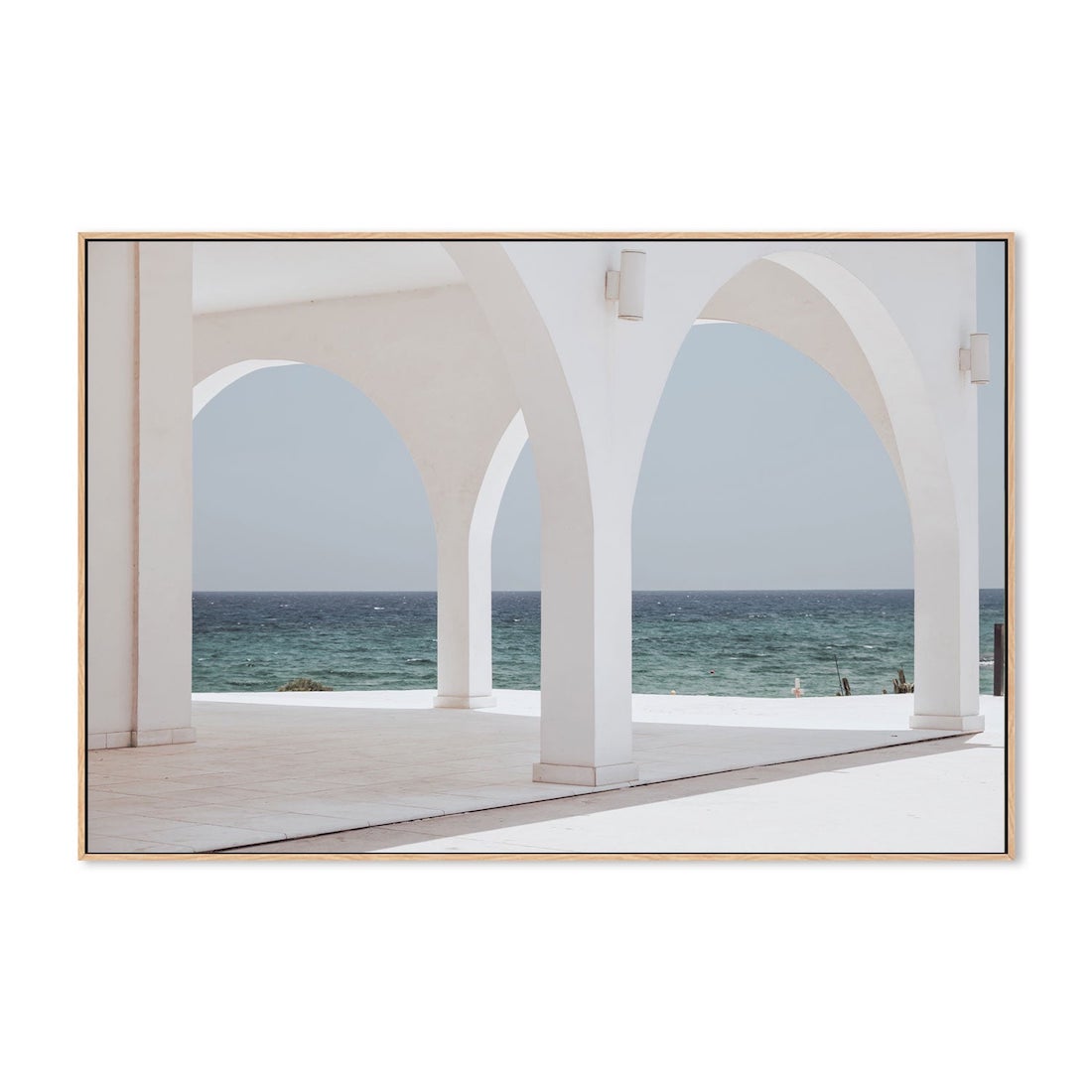 White Cyprus artwork is one of our favourites from Gioia best place to buy artwork online