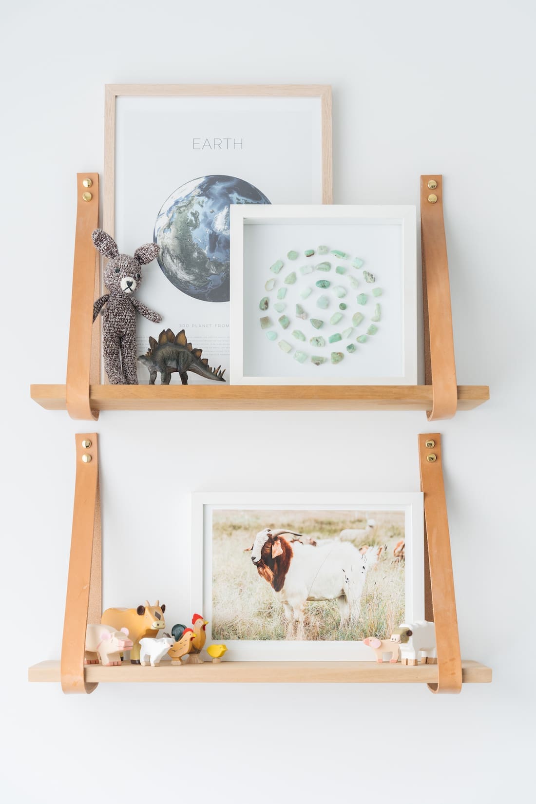 Goat photography artwork on hanging shelves