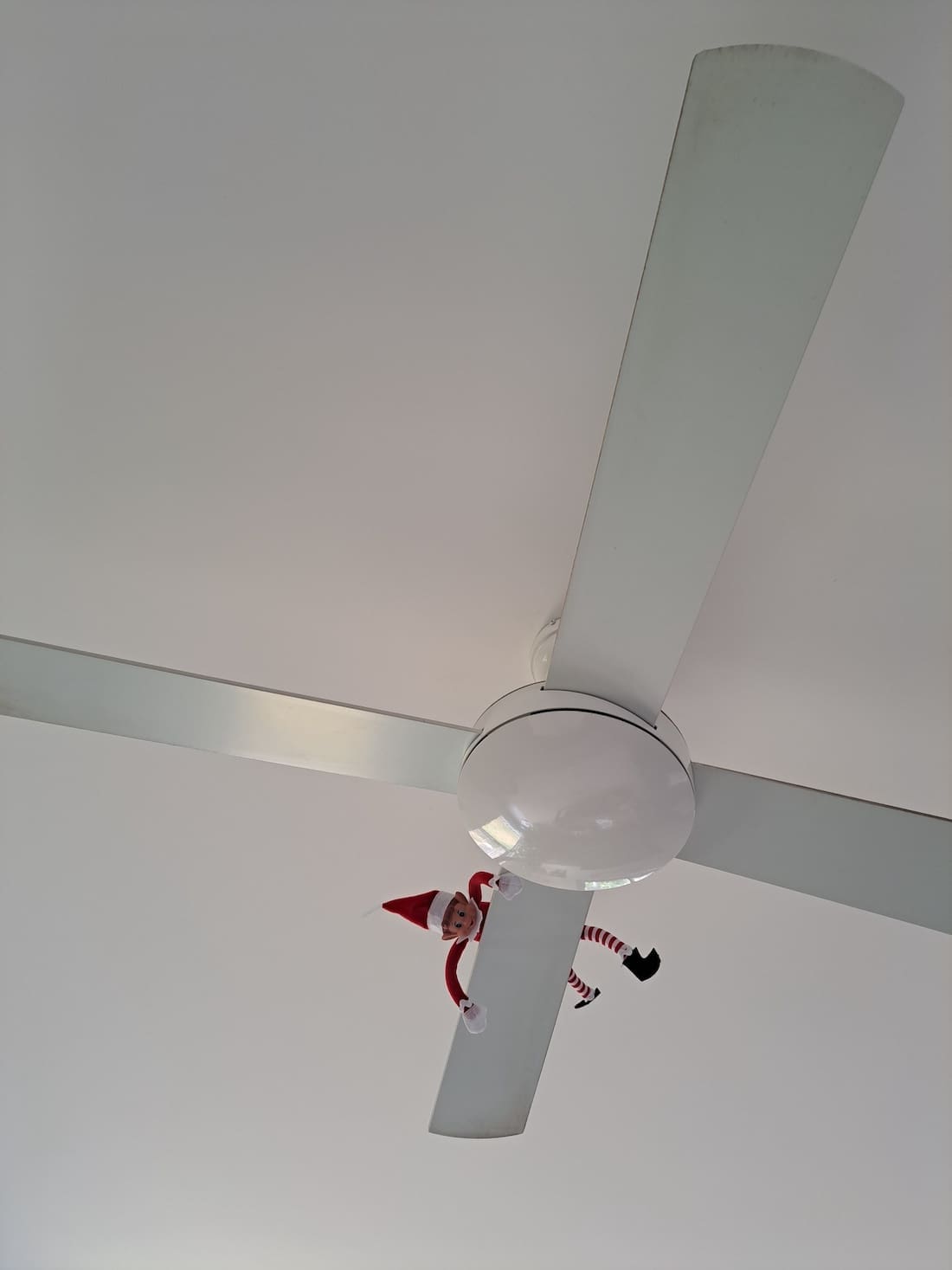 Elf on the shelf on ceiling fan