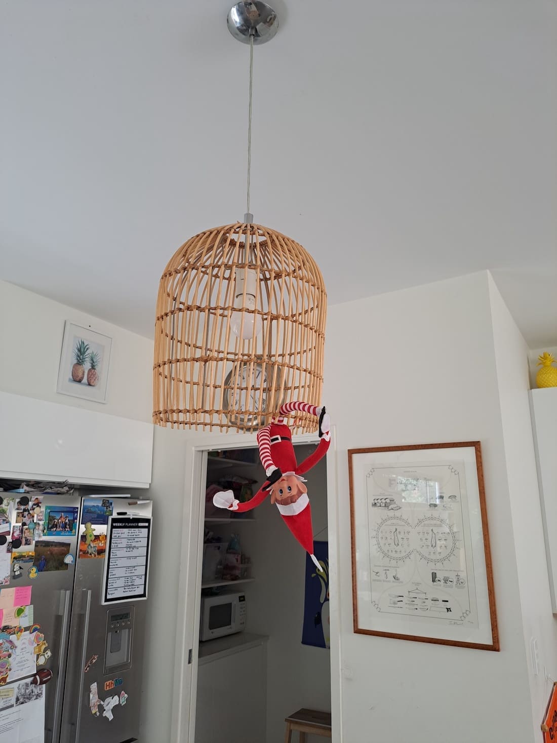 Elf on the shelf hanging off kitchen pendant light