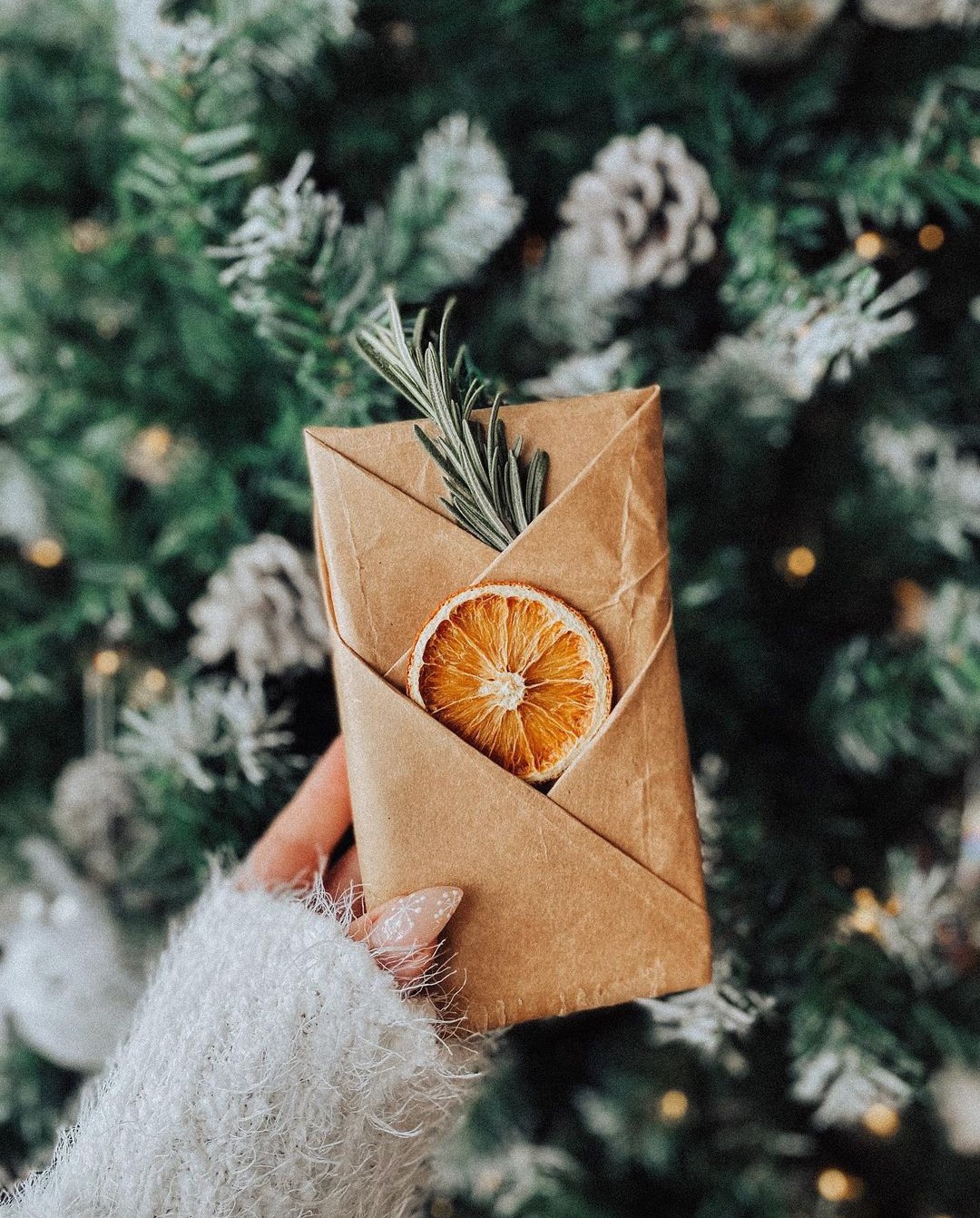 dried orange gift wrap decoration
