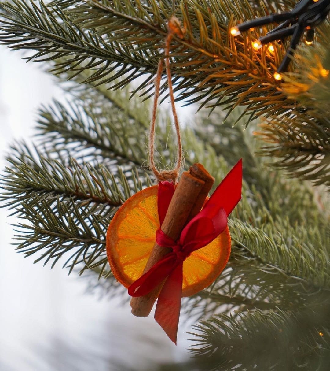 dried orange ornament inspo _ Dried orange slice uses