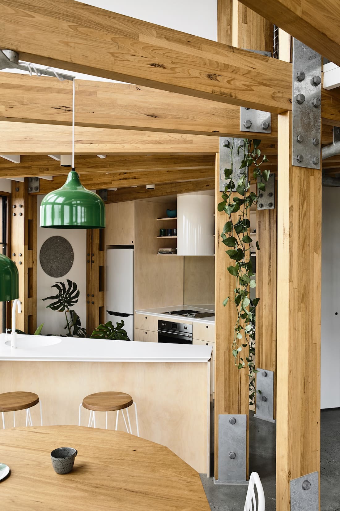 Timber kitchen with green pendant light and trailing plant