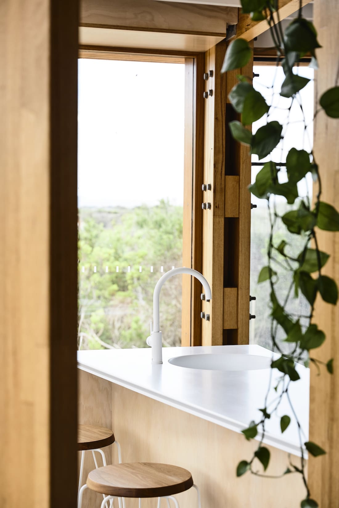 White kitchen tap and benchtops with trailing plant