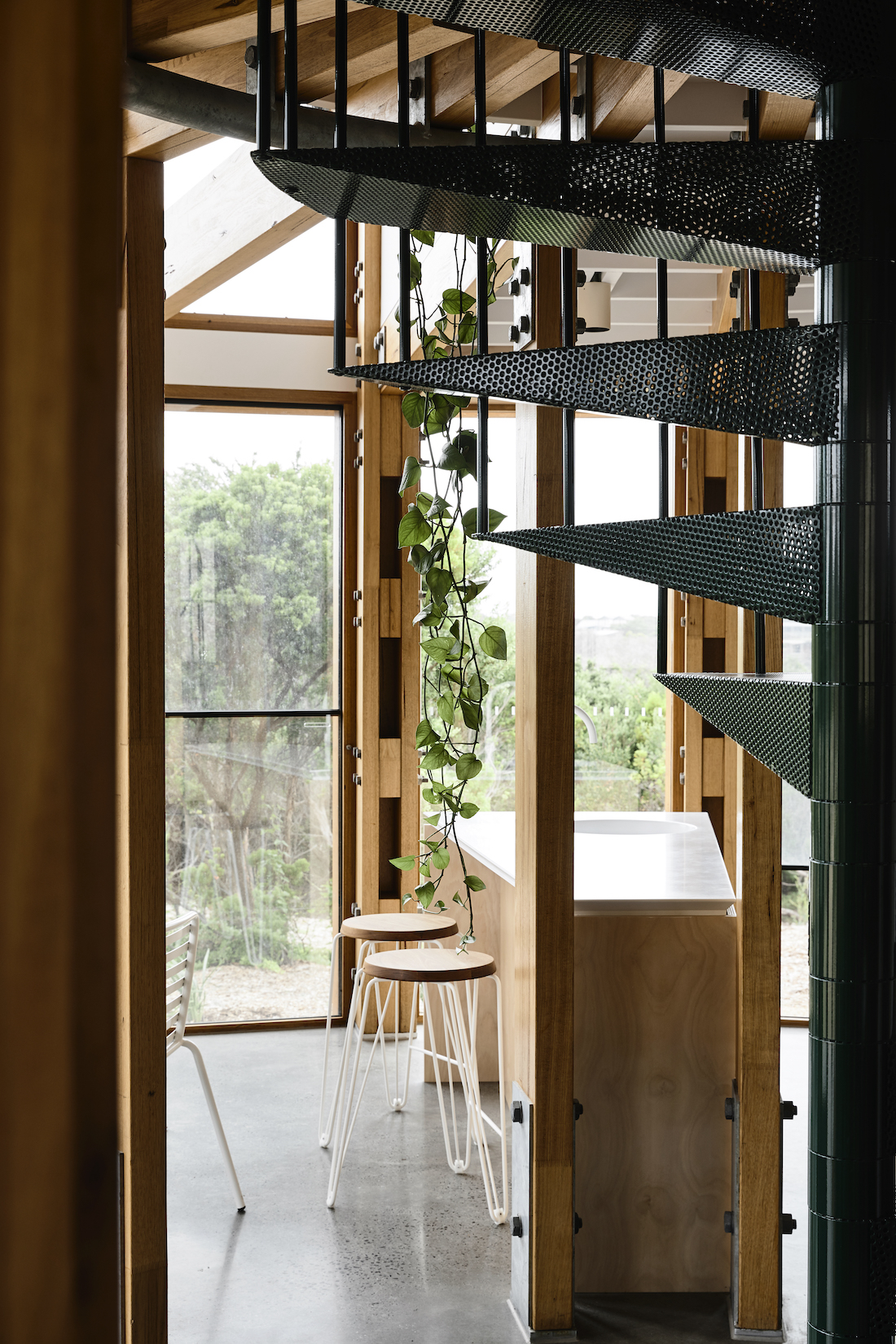 Green spiral staircase with trailing plant and timber kitchen