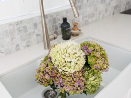 Hydrangea flowers