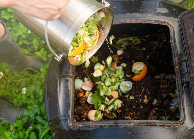 compost bin idea