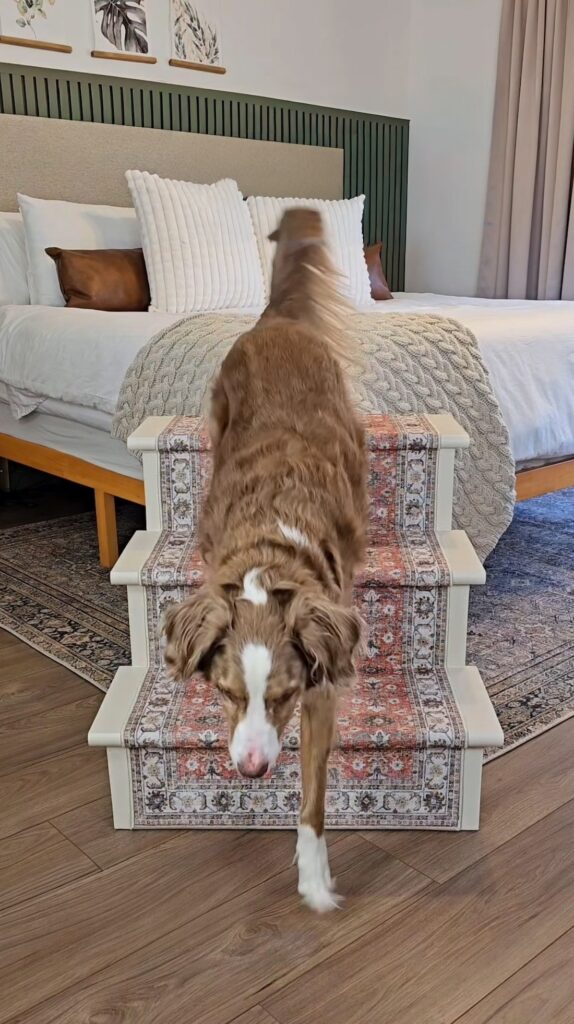 DIY dog stairs
