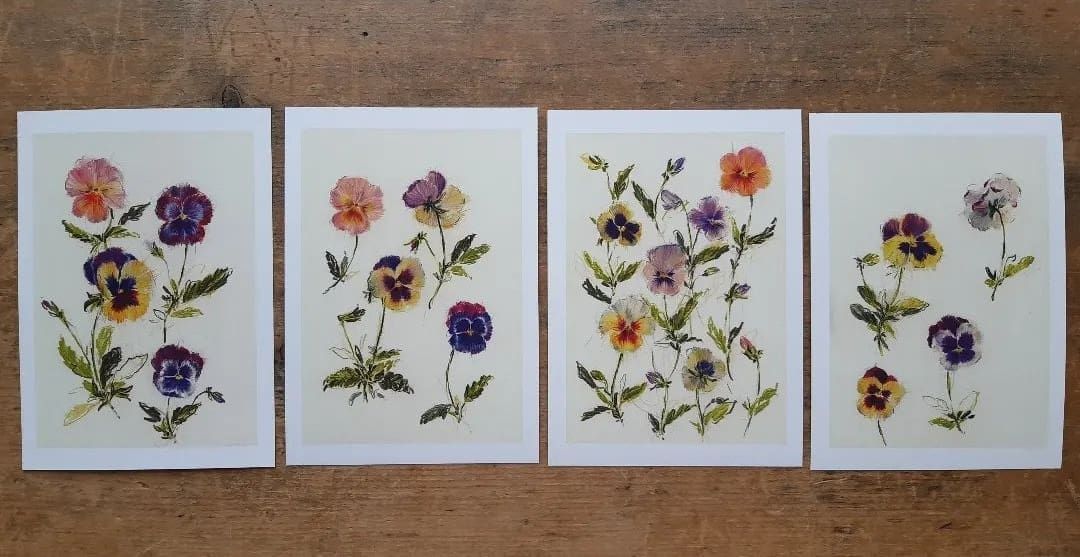 Collection of pansies illustrations by Claudia Lowry