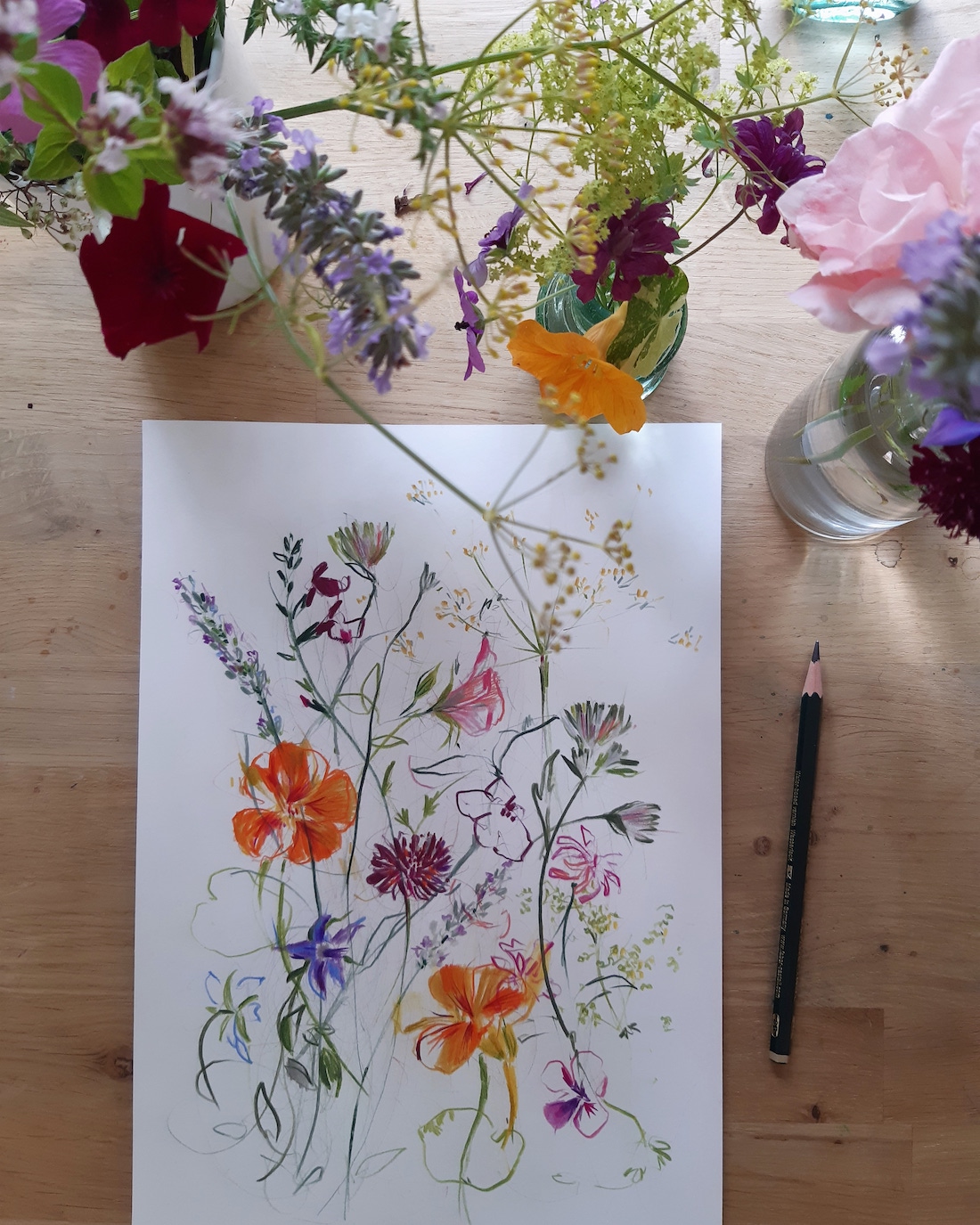 colourful flower illustrations by Claudia Lowry