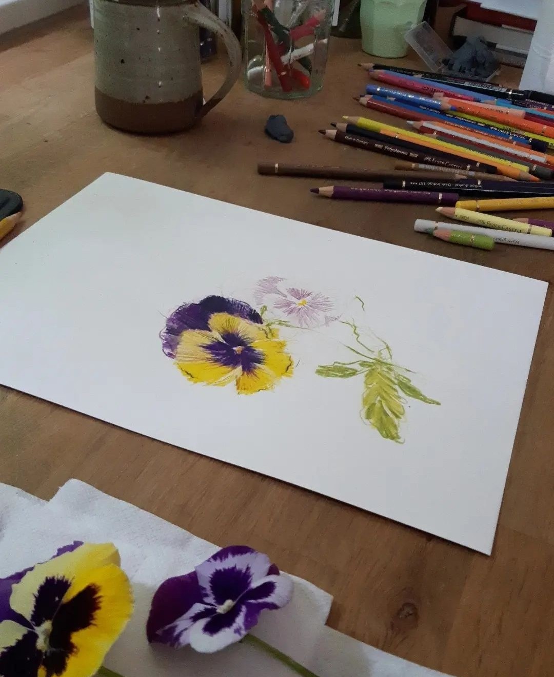 Real pansies and drawing of pansies by Claudia Lowry