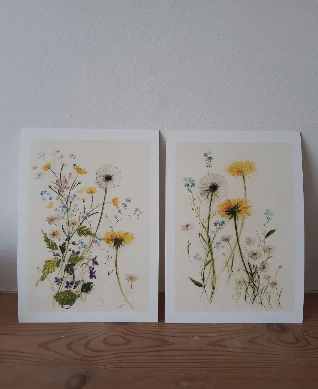 spring flower illustrations by Claudia Lowry