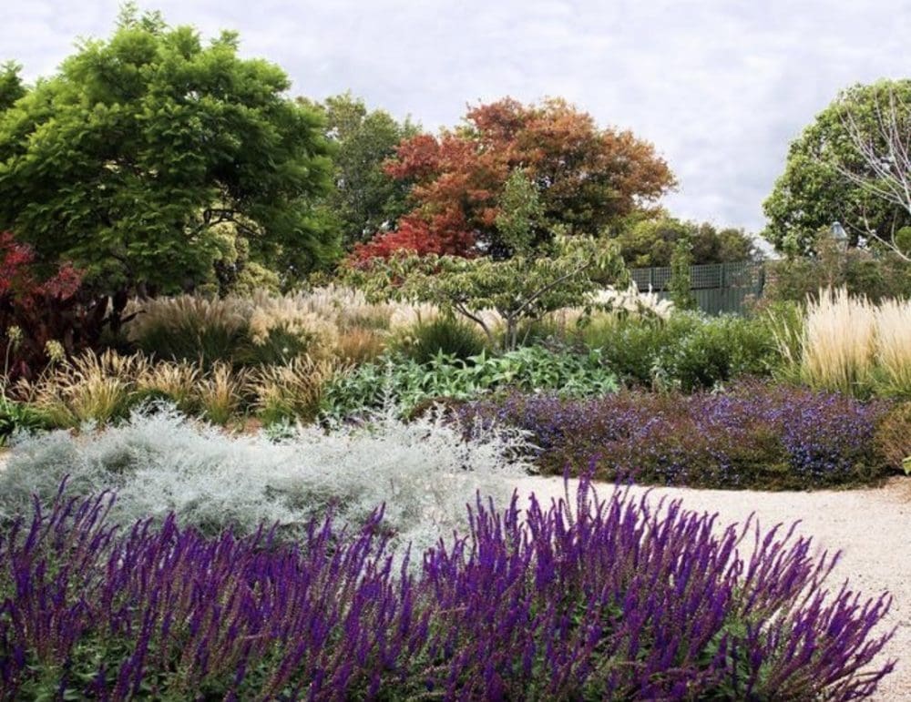 How to add a pop of colour to your contemporary garden space | Style ...