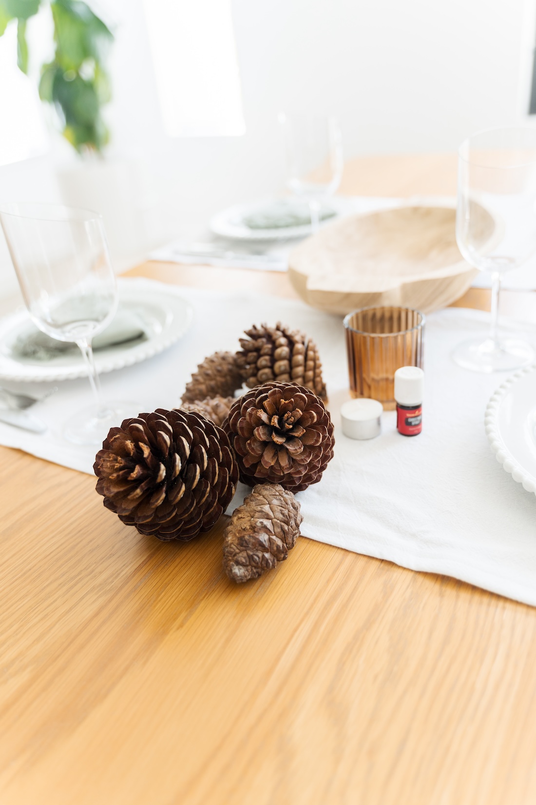 Items you will need to make Christmas scented pinecone centrepiece
