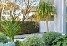 Round stepping stone steps in landscaped garden