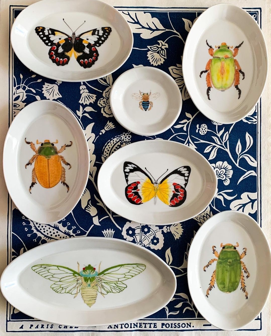 Insect, beetle and butterfly platters by Casa Adams Fine Wares