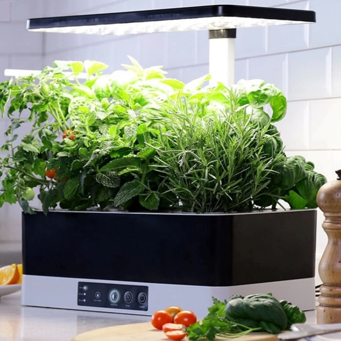 Smart garden