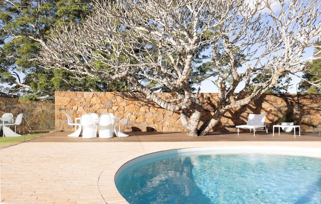 Large tree by pool at Rocklee House