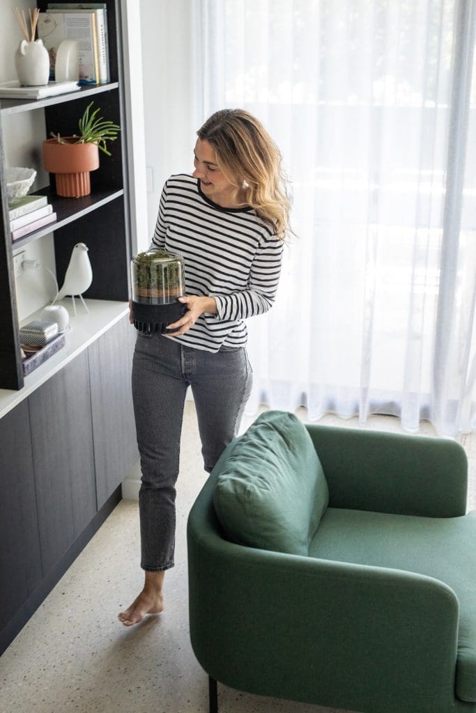 Purify the air in your home
