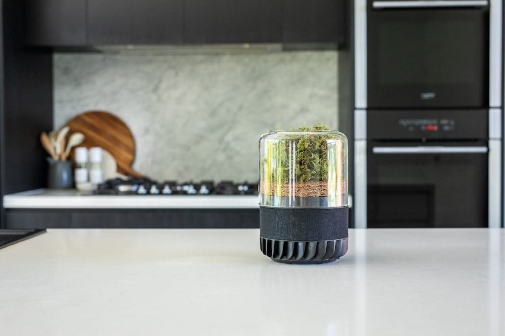 Briiv 2 Air Pro in kitchen