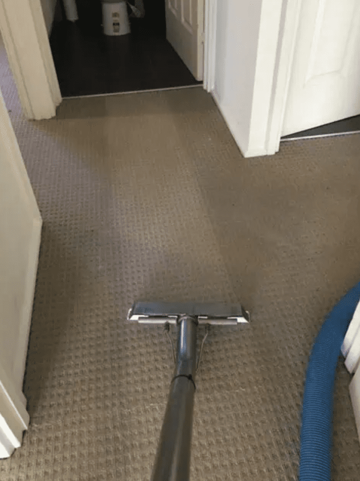 Professional carpet cleaning