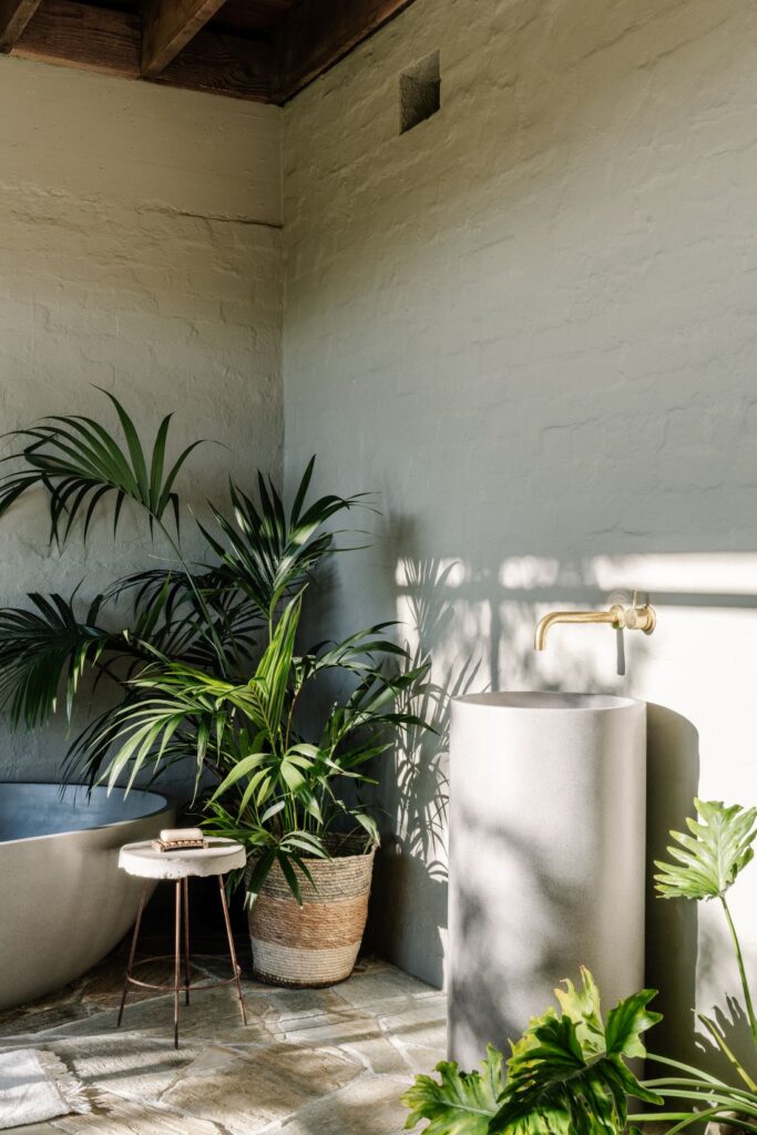 Pedestal basin with brass tap beside freestanding bath and indoor plants in wellness space.