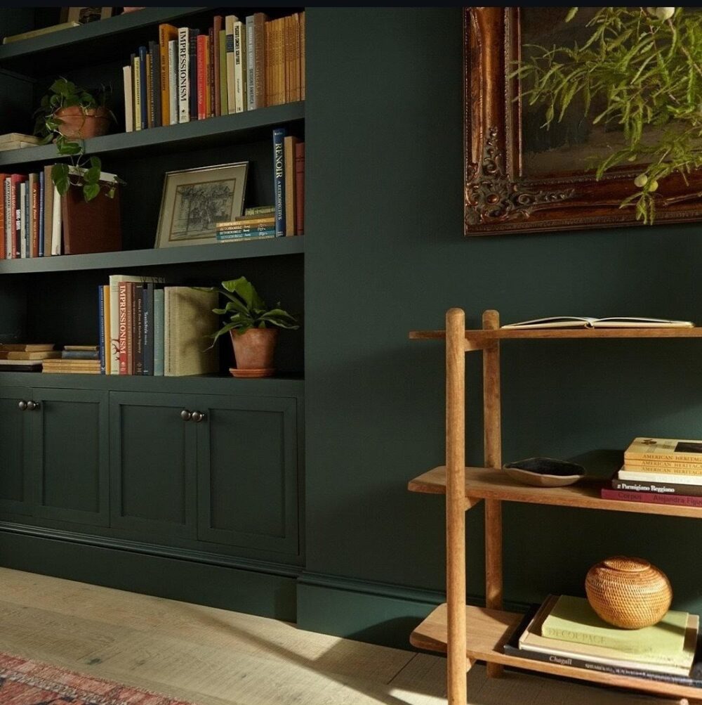 Colour drench green bookcase