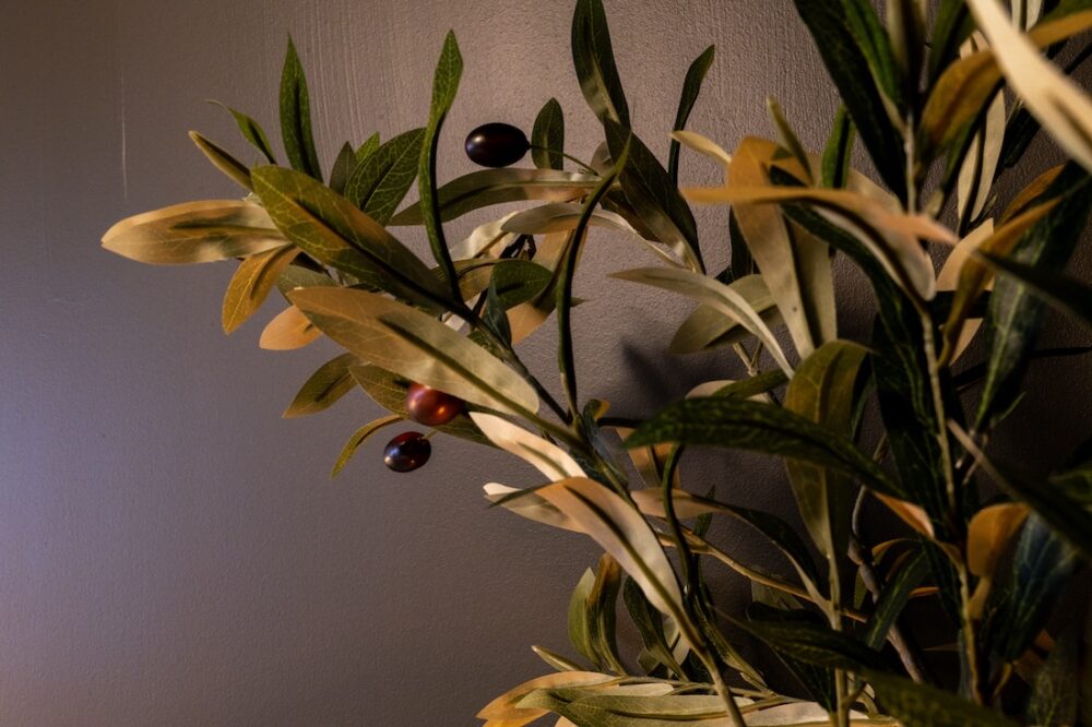 Faux olive tree branches