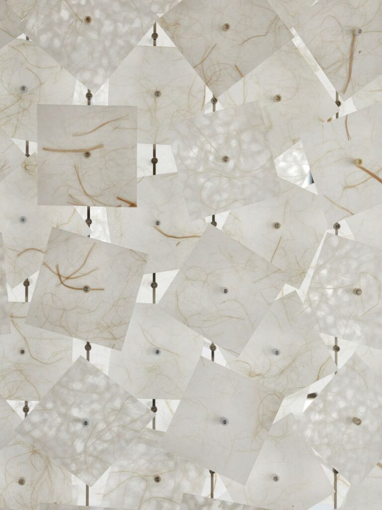 Close-up of overlapping translucent square panels with fine natural fibres and visible metal fixings