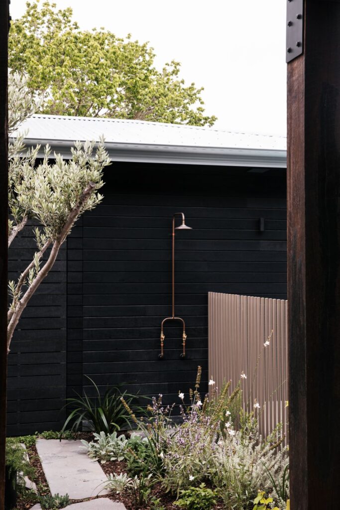 Backyard garden with black fence