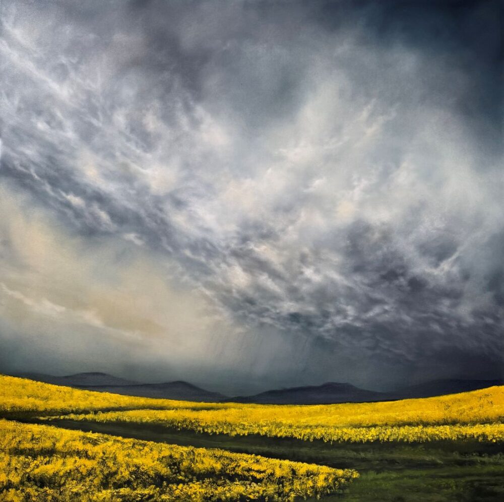 Dramatic storm clouds over golden canola field