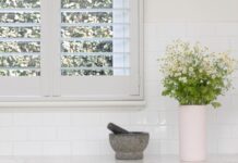 Benefits of plantation shutters: Light control, pet-friendly design and more White Plantation Shutters in Bright Kitchen with Indoor Plant